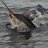 SEAFORCE MARLIN 1